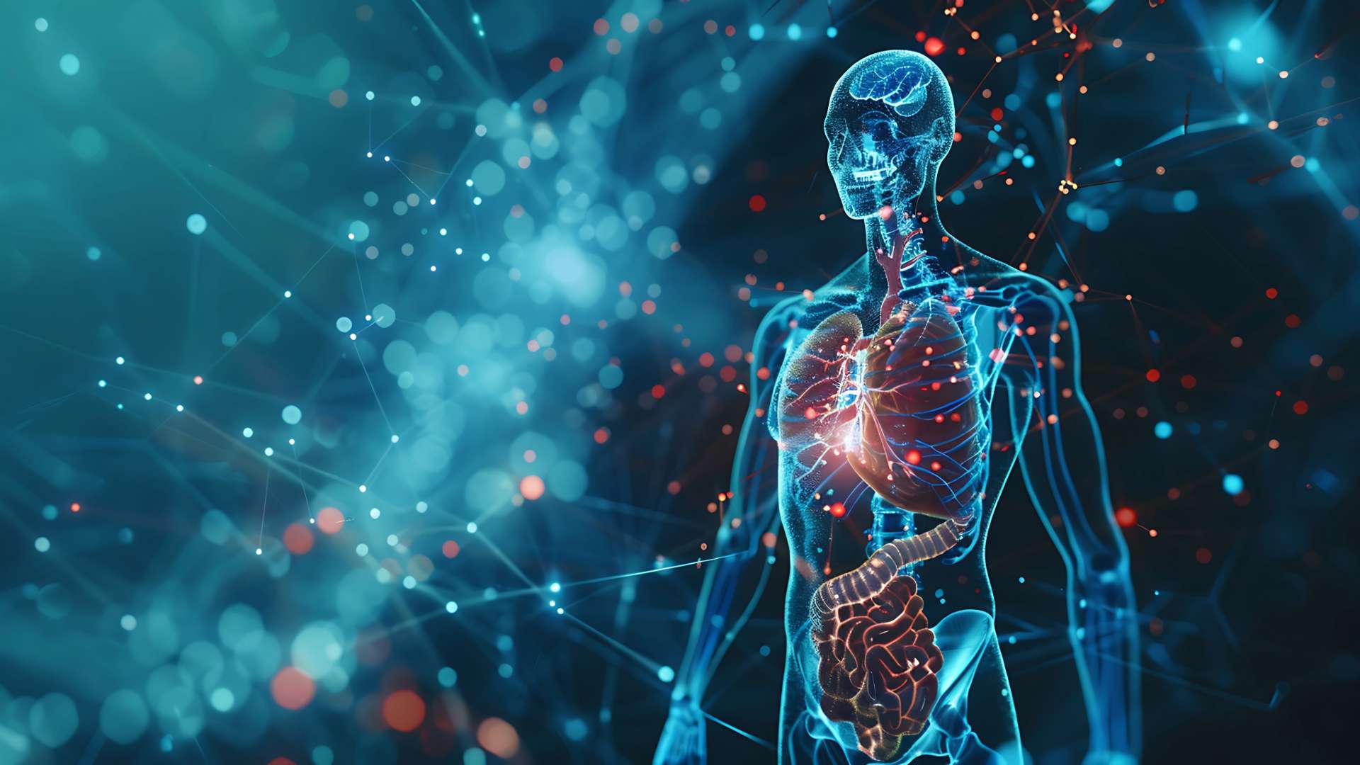 Tools to study metabolic pathways, energy balance, and associated disorders like diabetes or obesity